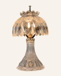 Vintage Floral Crystal Boudoir Lamp